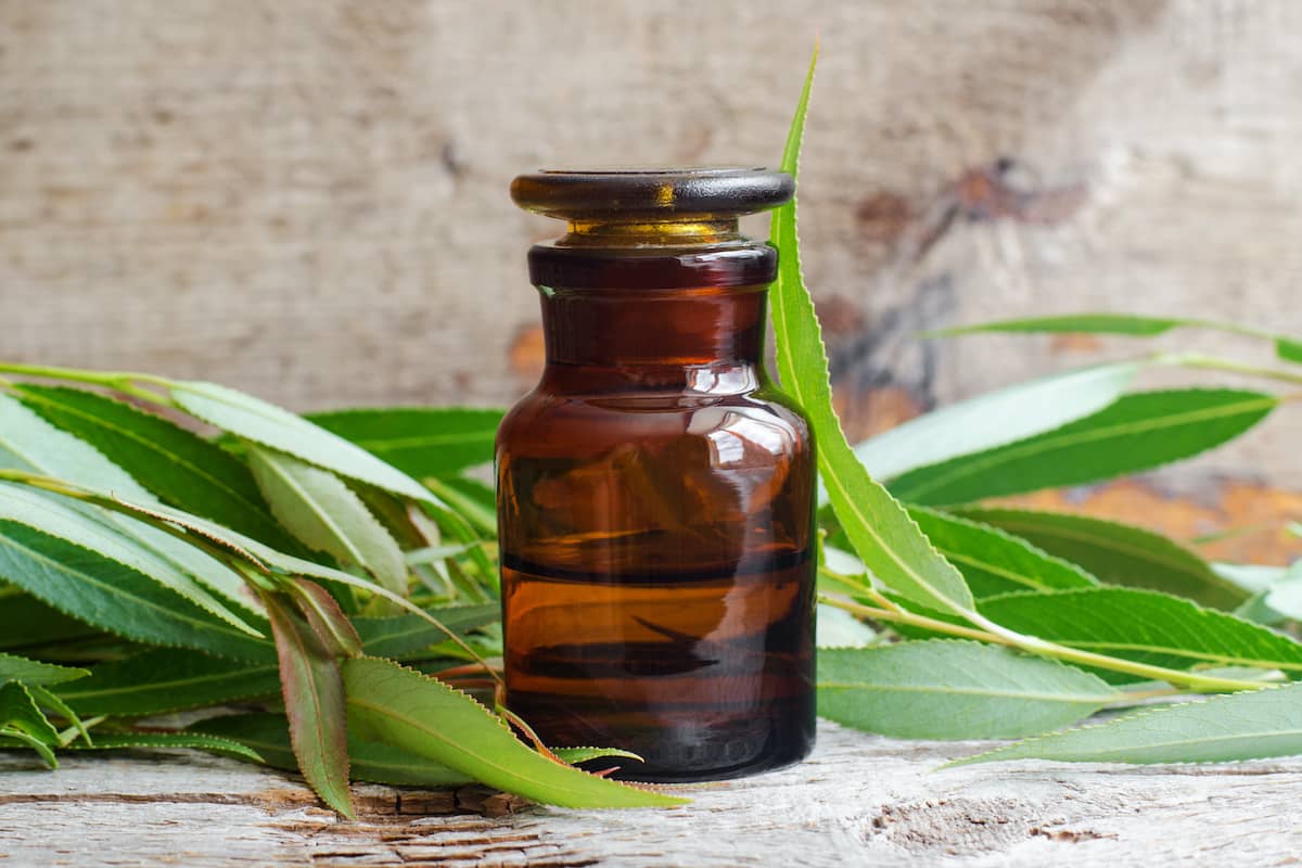 Phytothérapie Pharmacie Joue Sur Erdre à Joué-sur-Erdre