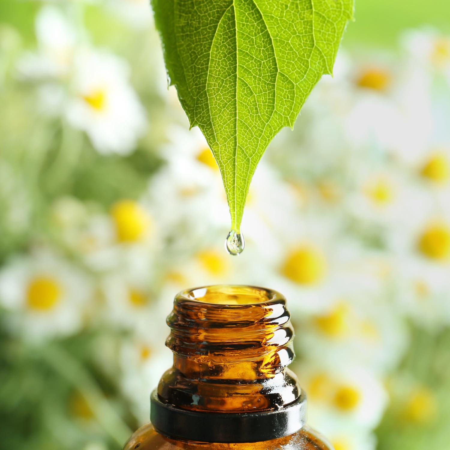 Aromatherapie Pharmacie Joué sur Erdre